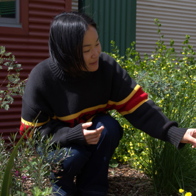 Conservation student Sandra Chui kneeling in native garden looking at yellow-coloured shrubs.