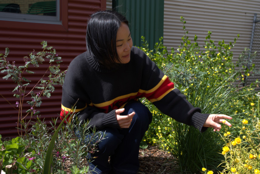 Conservation student Sandra Chui kneeling in native garden looking at yellow-coloured shrubs.