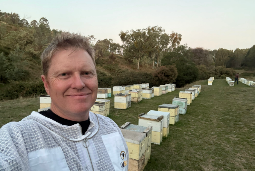 A man wearing a beekeeping suit (without beekeepers hat and veil) is standing in front of a large number of beehives on a regional property.