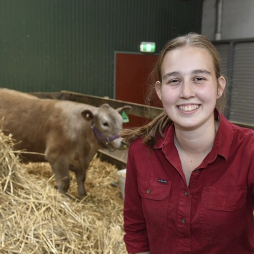 Agriculture Student with cow in background