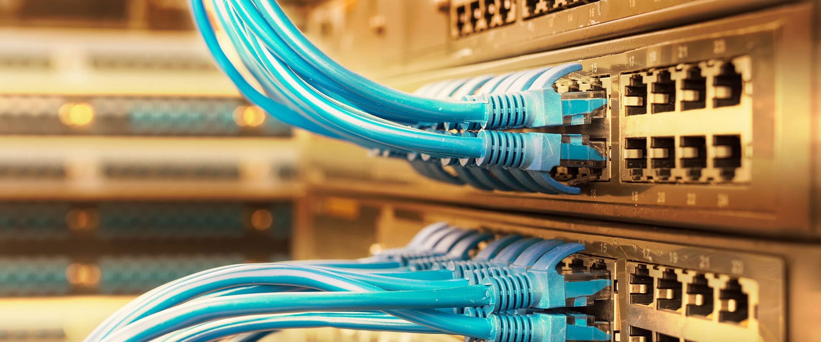 Ethernet cables plugged into a switchboard