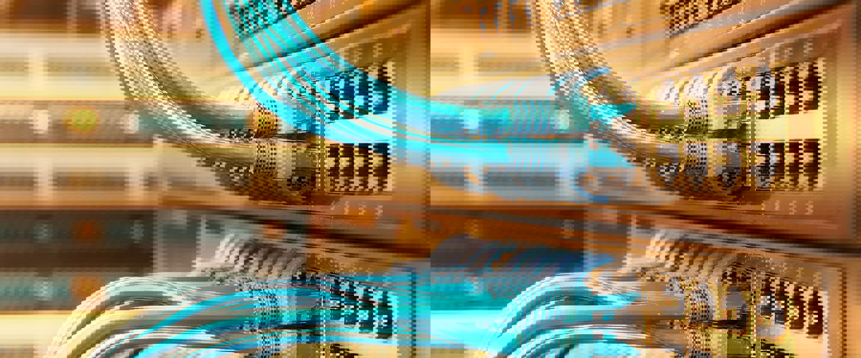 Ethernet cables plugged into a switchboard