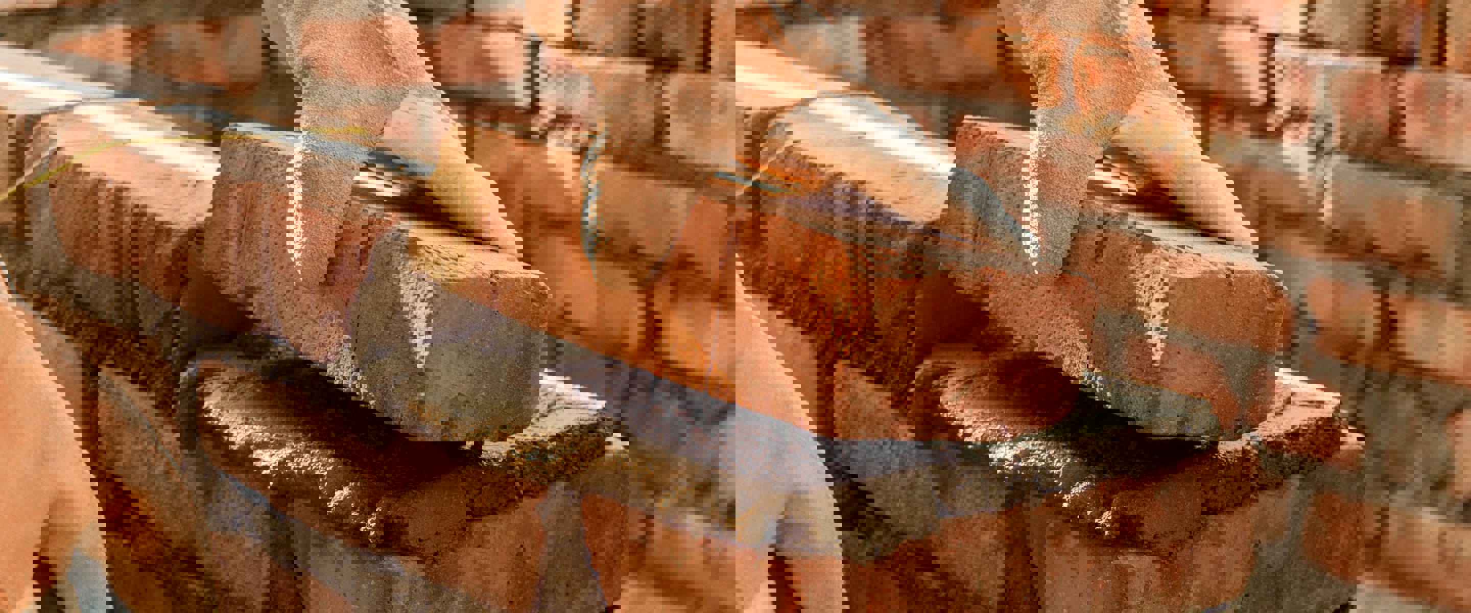A person laying a brick on top of some mortar