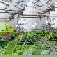 Fairfield campus Horticulture inside Greenhouse