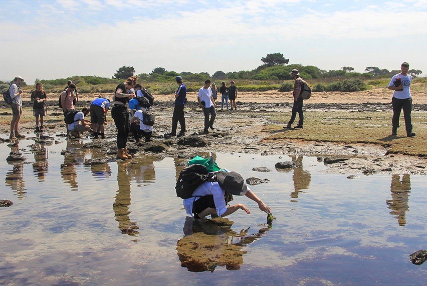 Conservation Students at Point Cook Marine Sanctuary