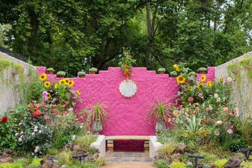 A Mexican inspired floral garden with hot pink wall at back.