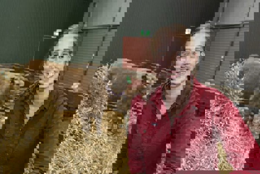 Agriculture Student Abbey Wright sitting on hay bales with cow in a stable behind her.