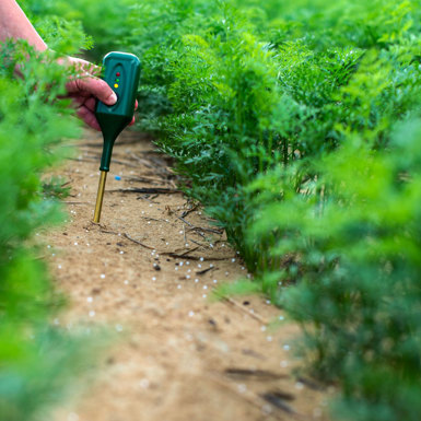 Person taking a soil sample