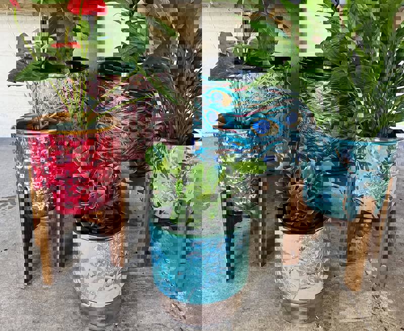 Colourful Antonelli Designs Pots with plants in them