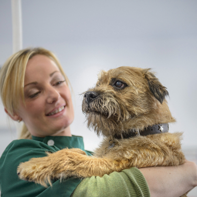 A veterinary nurse holding a dog in a veterinarian surgery. 