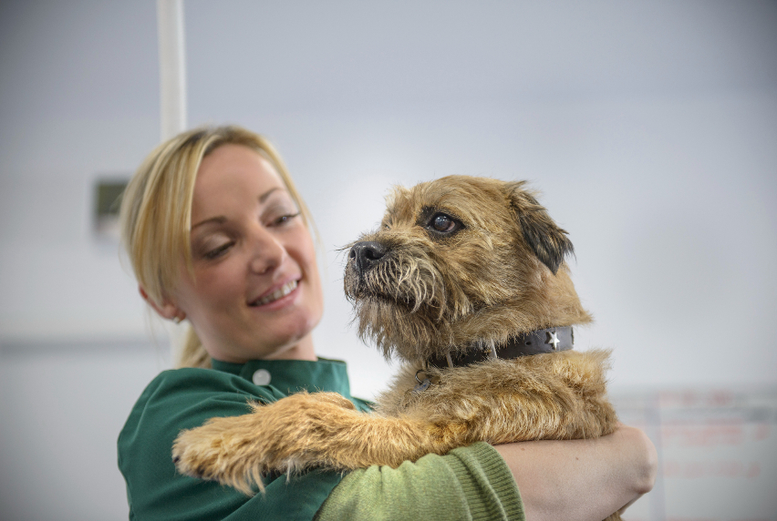 A veterinary nurse holding a dog in a veterinarian surgery.