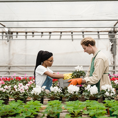 Two horticulturists in a greenhouse containing various flowers.