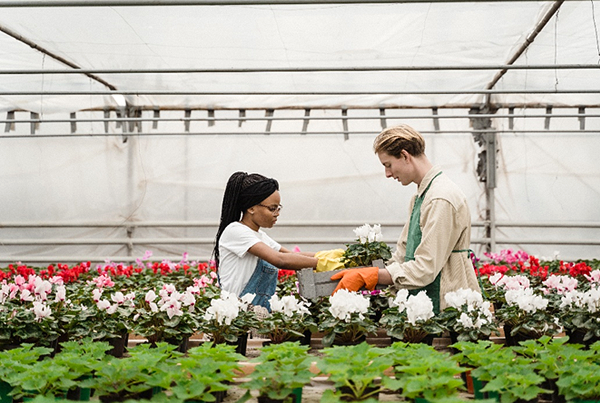 Two horticulturists in a greenhouse containing various flowers.