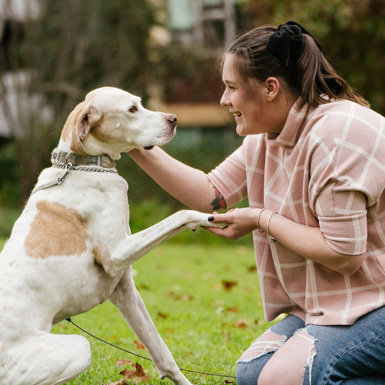 Outstanding Vocational Student of the Year Award in the Food, Fibre, and Animal Industries Winner Steph Curavic shaking hands with a white dog
