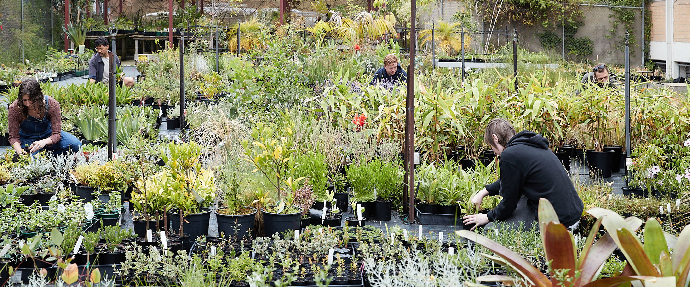Horticulture students inspecting potted plants at a nursery.