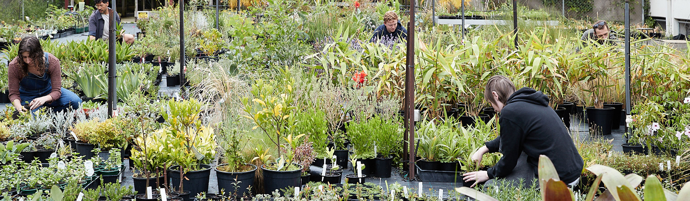 Horticulture students inspecting potted plants at a nursery.