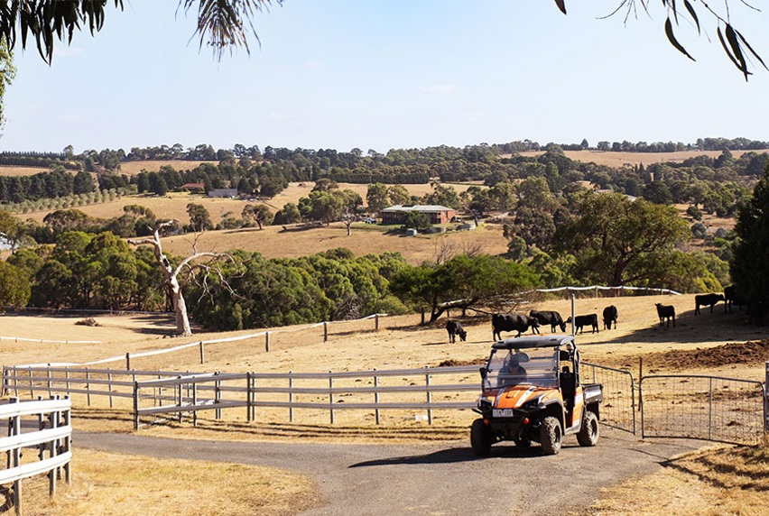 An orange rugged terrain vehicle parked on a gravel road on a large farm.