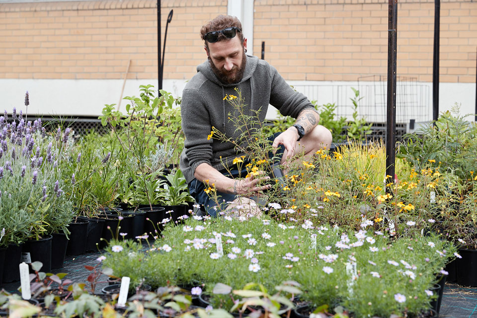 Horticulture teacher inspecting a potted plant in a plant nursery.