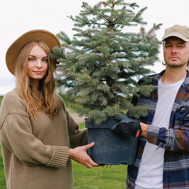 Two arborists holding a tree