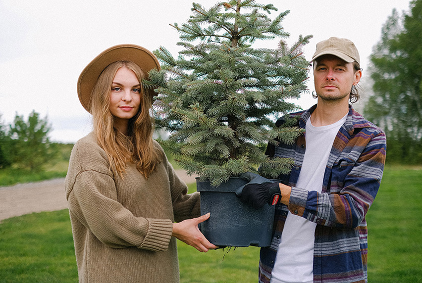 Two arborists holding a tree