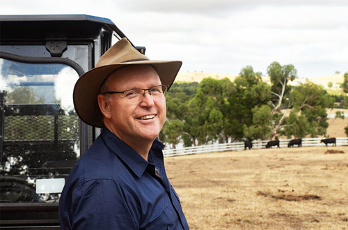 A man wearing a hat and blue shirt stands near a truck in a paddock with cows and rugged terrain vehicle.