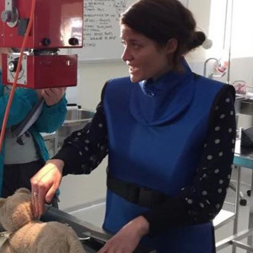 Bridget Naughton, wearing personal protective equipment (PPE), demonstrates medical procedures on a plushie animal to educate students.
