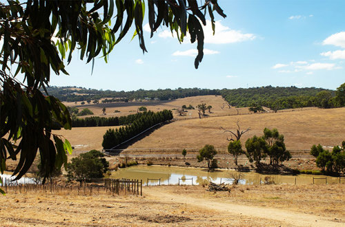 Melbourne Polytechnic's working farm with vast short-grass fields and dam