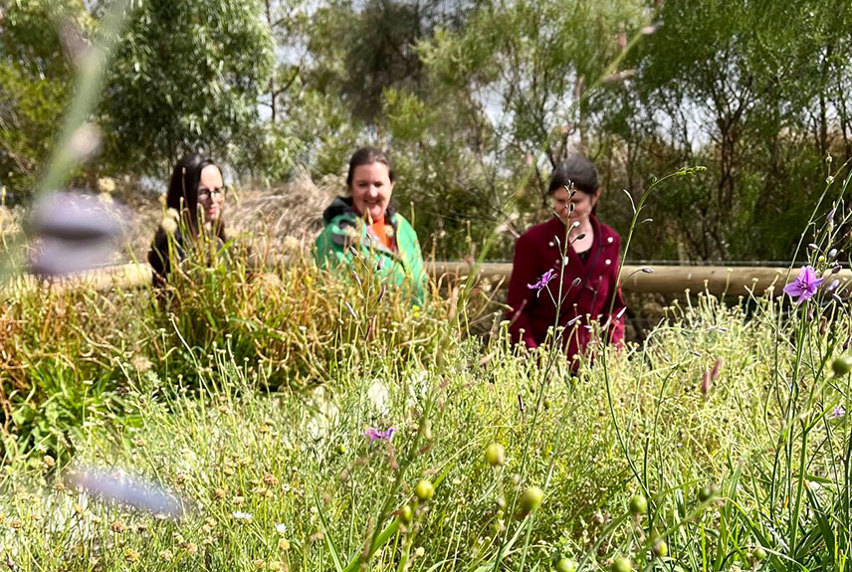 Three women standing in a field of tall grass, enjoying the serene beauty of nature.