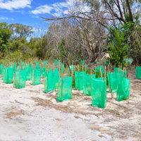 Propagating trees in an outdoor conservation setting